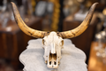 A taxidermy longhorn skull mount displayed on a white pedestal in a rustic shop setting.